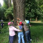 Abbracciamo gli alberi