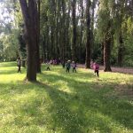 Mimetismo tra gli alberi