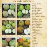 mele-2