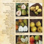 pere-2